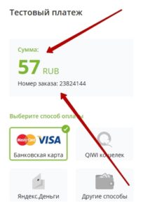 Станьте участником нашей платежной системы, и получайте  вознаграждения от системы  до 17 000 рублей ежедневно. Отзывы о лохотроне