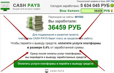 Cash Pays – зарабатывайте от 30 000 рублей в день на вашем домашнем интернете. Отзывы