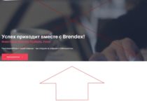 BRENDEX – отзывы об инвестиционном проекте