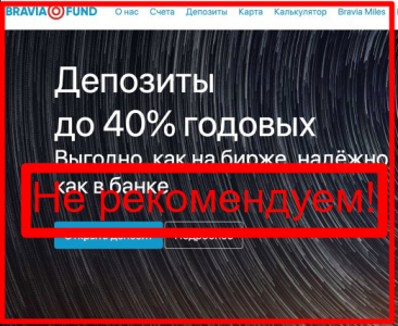 Отзывы о Bravia Fund