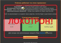Проект Пчёлка — отзыв и обзор psota.ru