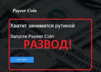 Отзыв о Payeer Coin – прибыль на диване