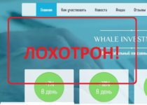 Проект Whale Investments — отзывы инвесторов