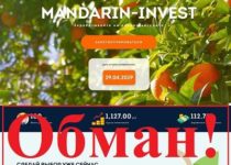 MANDARIN-INVEST – отзывы и обзор