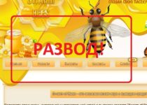 Отзывы о Swarm of Bees – игра о пчелах с выводом денег
