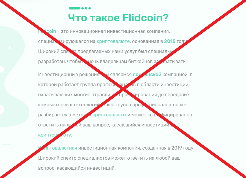 Flidcoin о компании
