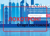 Teammig — отзывы и обзор платформы Teammig.ru