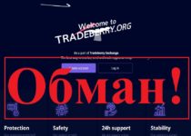 Tradeberry и Creonix – отзывы о бирже мошенников