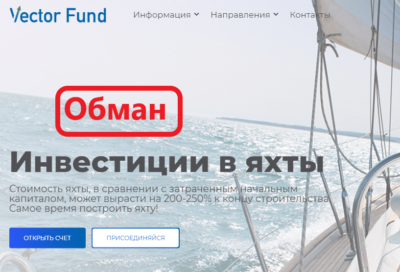Vector Fund обзор