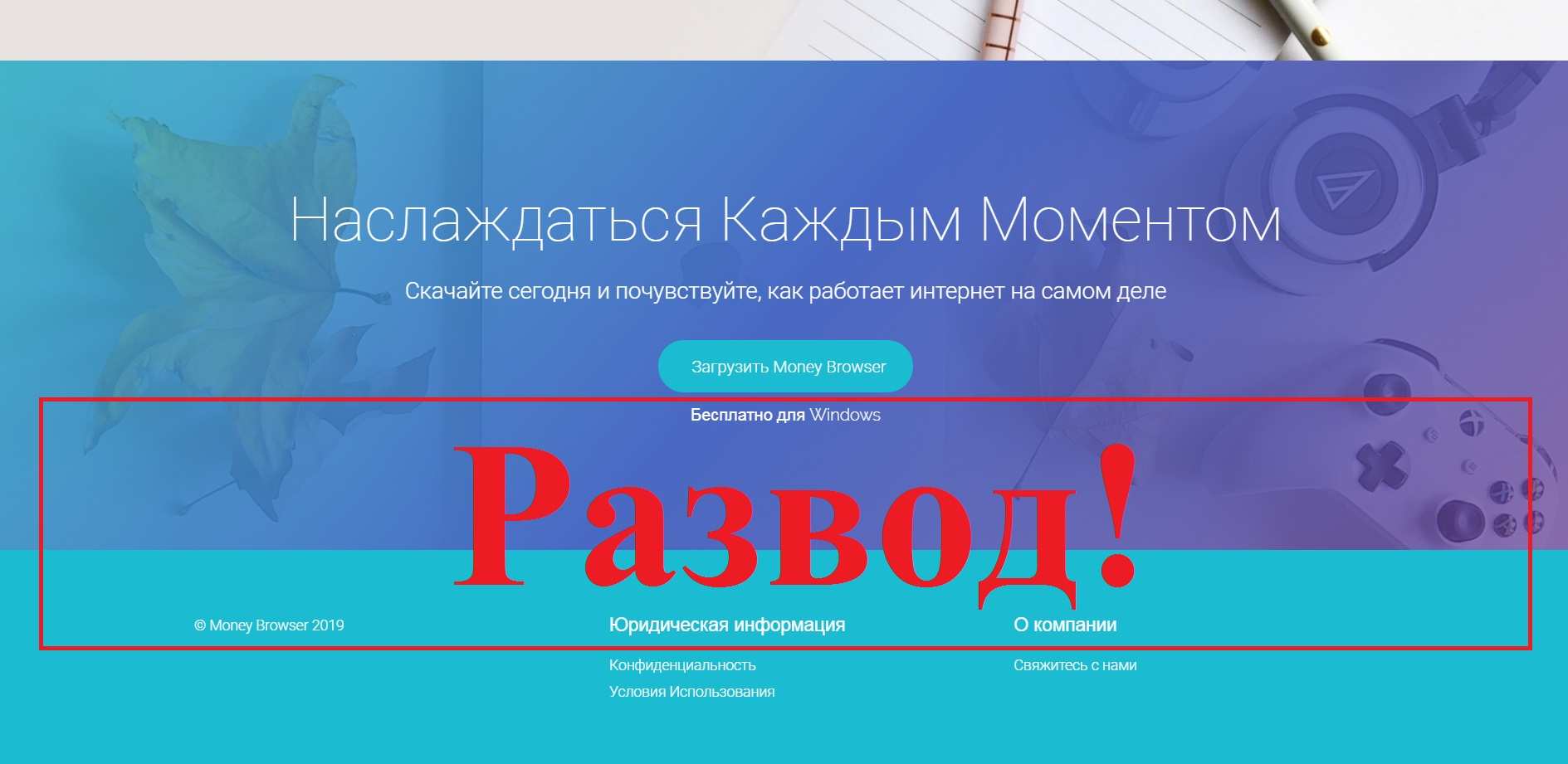 Академия сова мцко