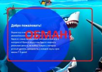 Money-Shark PRO — отзывы о инновационном проекте