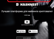 HashNest — отзывы о платформе