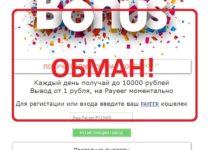 Bonus Payeer — отзывы и обзор бонусника