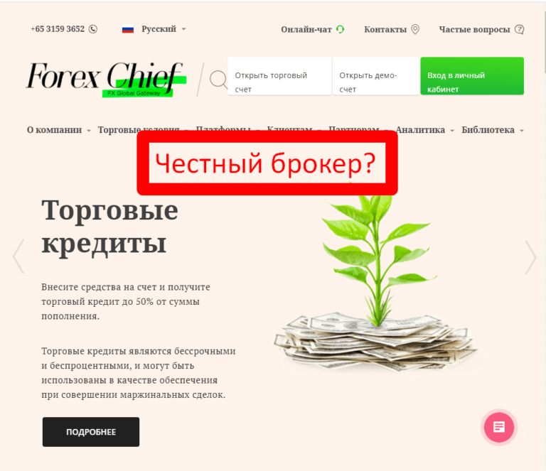 Брокер Forex Chief (Форекс Чиф) - отзывы и обзор forexchief.com