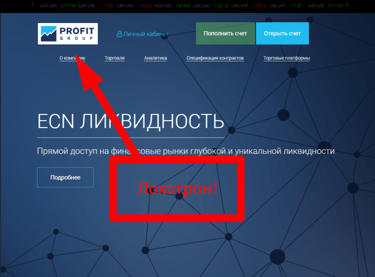 PROFIT GROUP отзывы и обзор