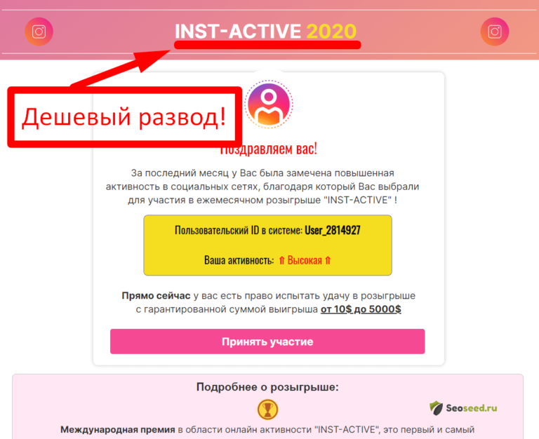 Розыгрыш INST-ACTIVE 2020 – отзывы. Инст Актив развод