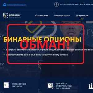 Bitbinary (bitbinary.net) - отзывы, обзор и проверка