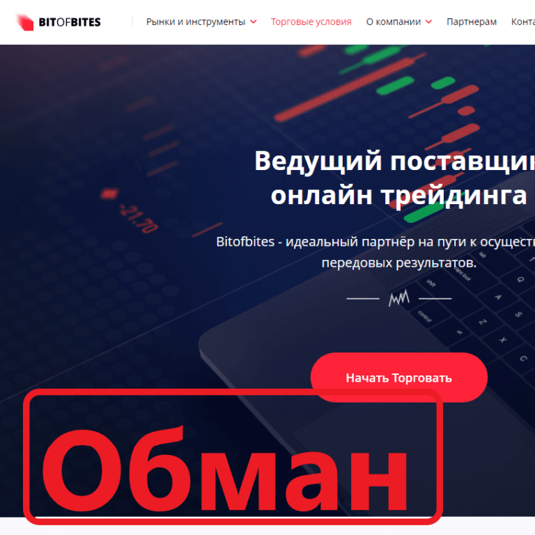 Bitofbites отзывы и обзор