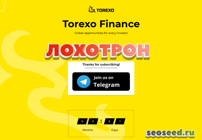Torexo - инвестиционная компания