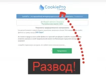 Cookie Pro — отзывы 2021. Проверка и разоблачение