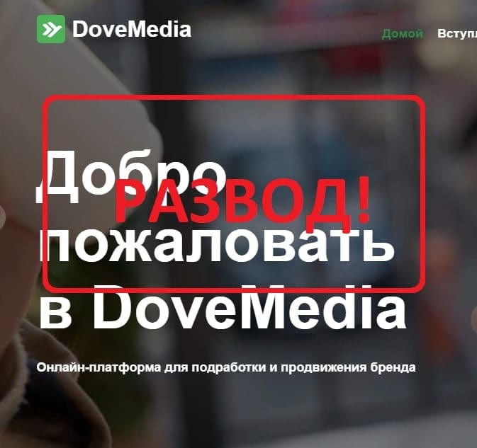 Заработок с Dove Media - отзывы о dove-media.org