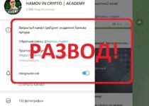 Hamov In Crypto отзывы о телеграмм канале — развод?