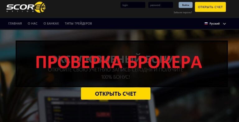 ScoreOption отзывы клиентов