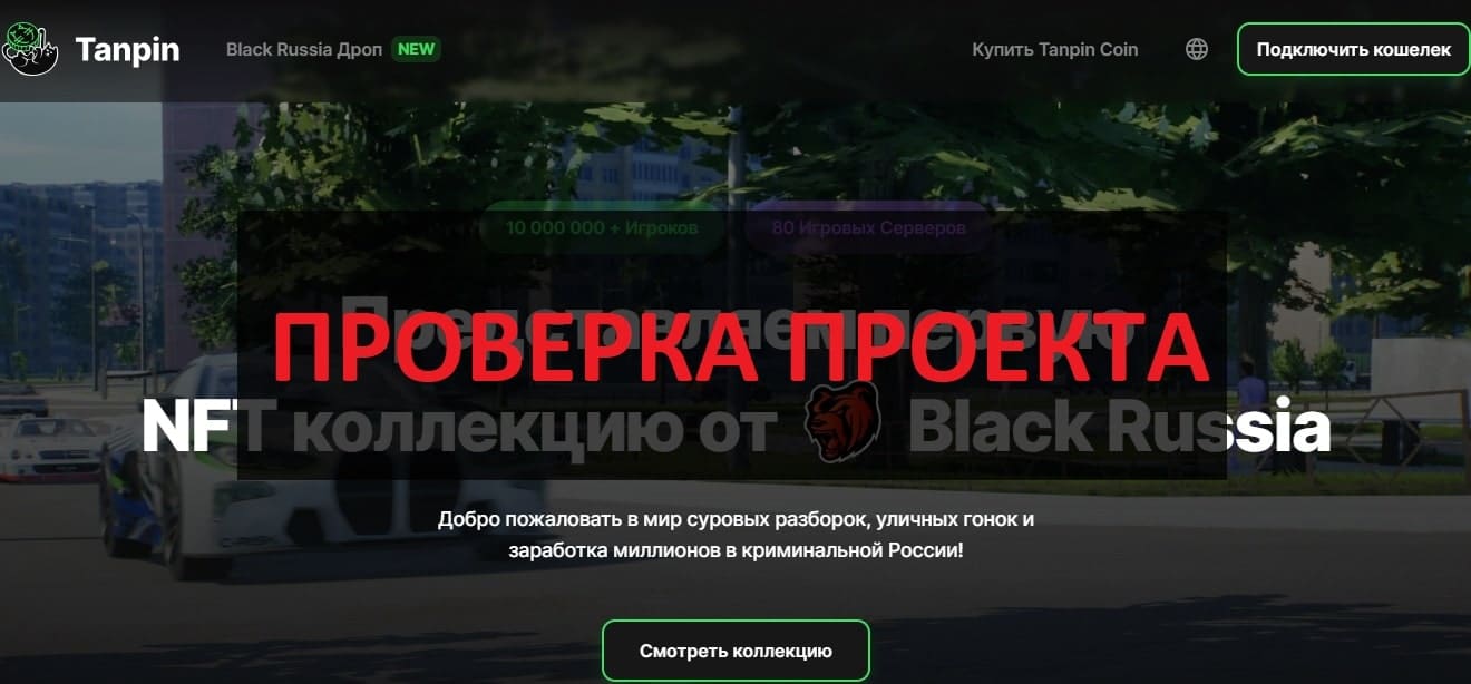 Black Russia NFT (tanpin.io) отзывы - честный или развод