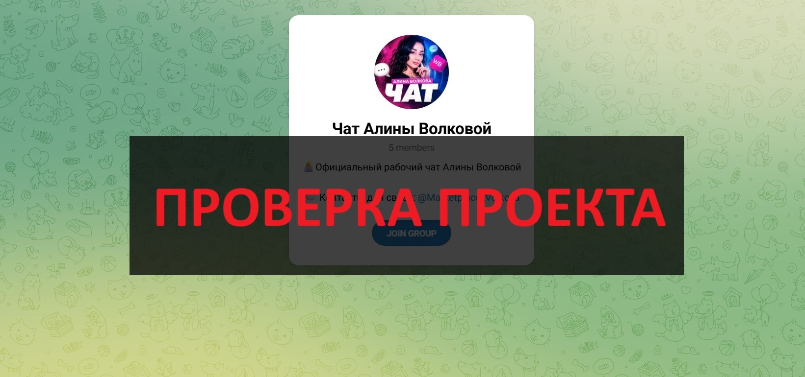 Алина Волкова и ее курс Менеджер Wildberries: отзывы и полный разбор