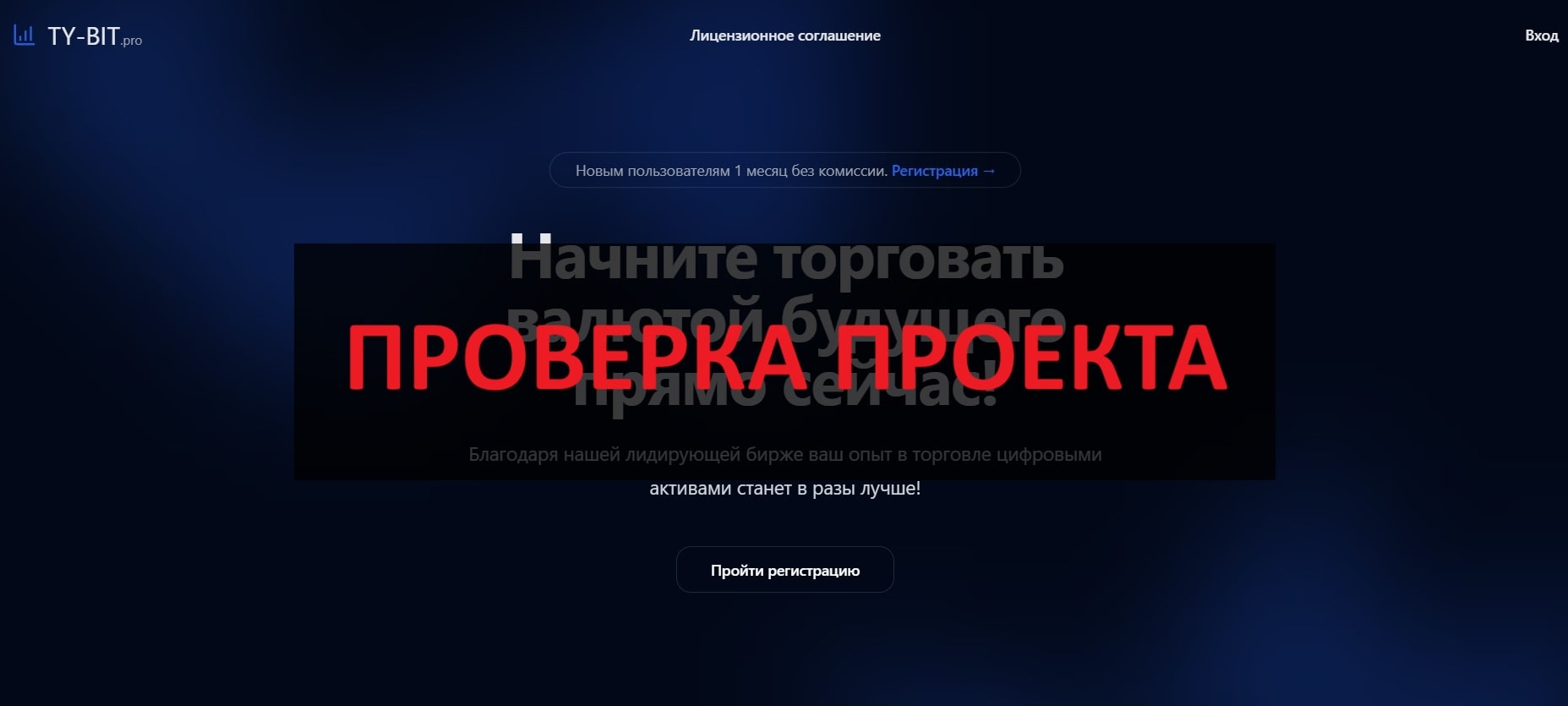 Ty-bit.pro - реальные отзывы, обзор 2025 года