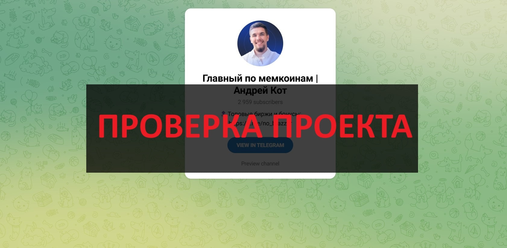 Главный по мемкоинам Андрей Кот - отзывы и рекомендации