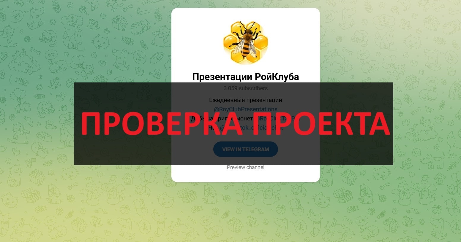 Презентации РойКлуба - отзывы о сомнительном проекте