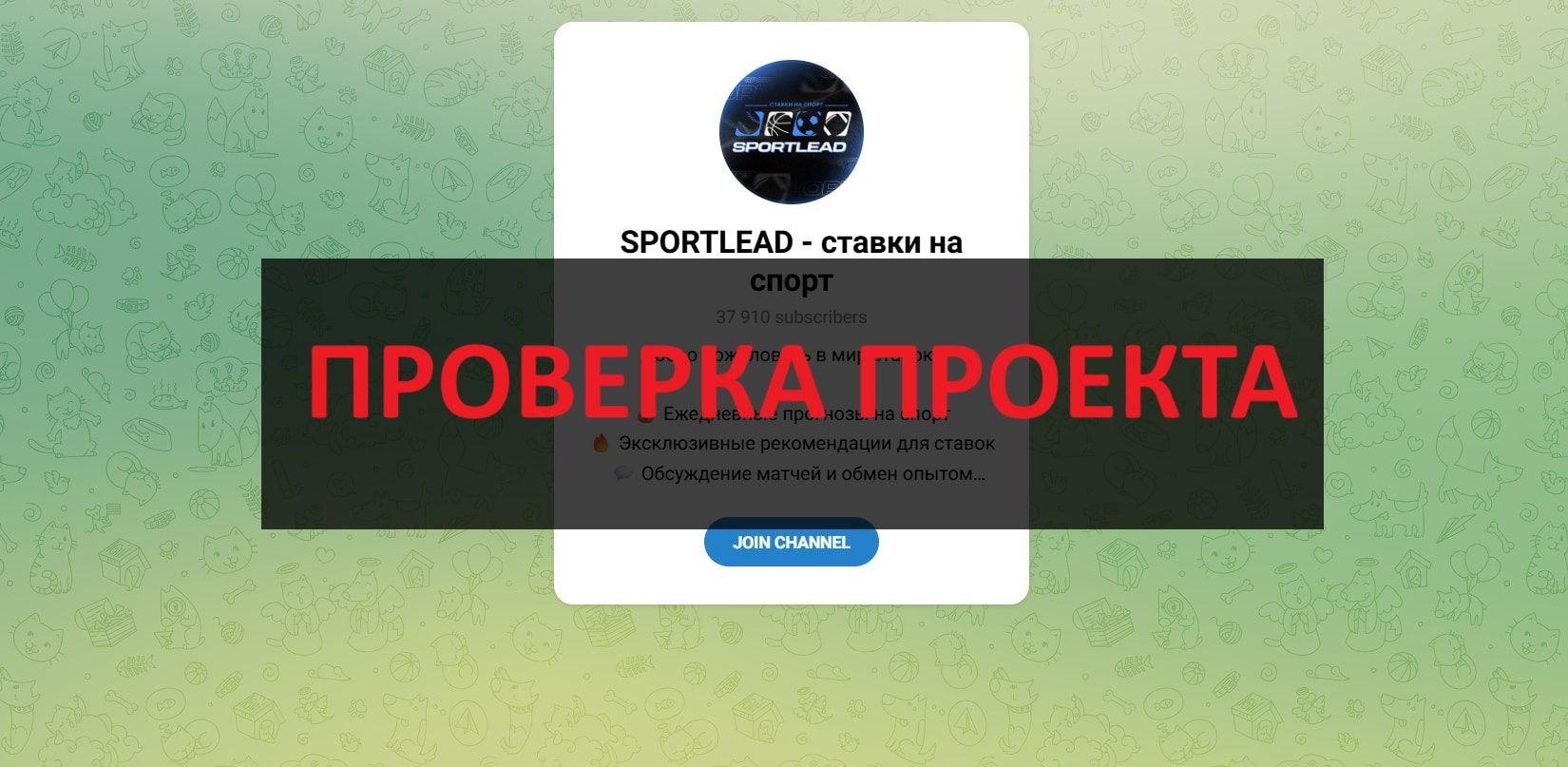SPORTLEAD ставки на спорт - отзывы: можно ли верить?