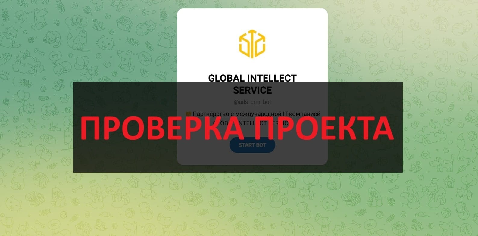 GLOBAL INTELLECT SERVICE - отзывы и обзор