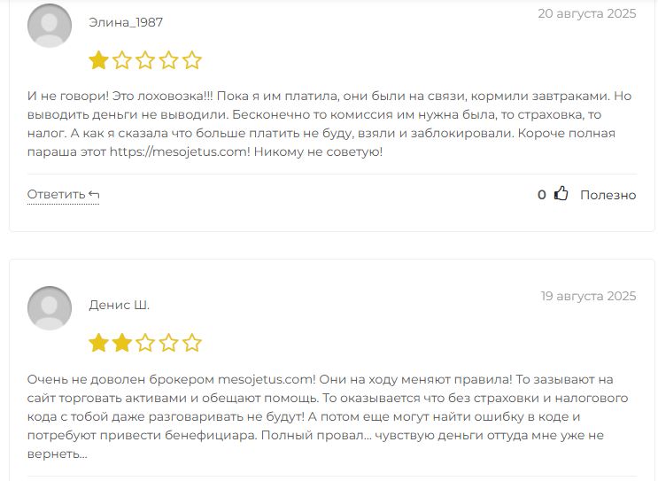 Mesojetus отзывы