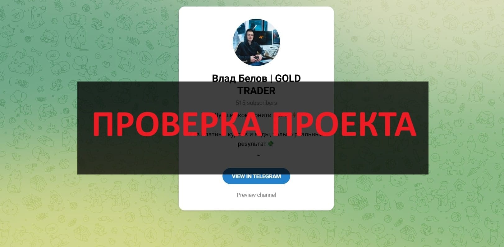Влад Белов GOLD TRADER - отзывы о телеграмм мошеннике