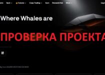 Биржа BloFin — отзывы и реальная проверка