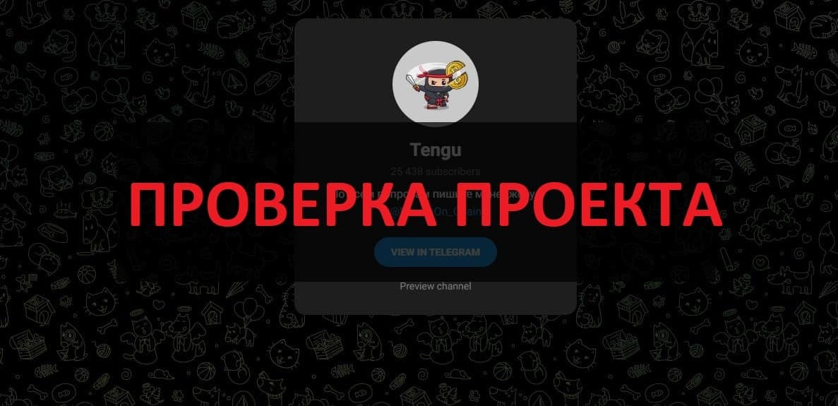 Tengu отзывы: Максим и его телеграмм канал