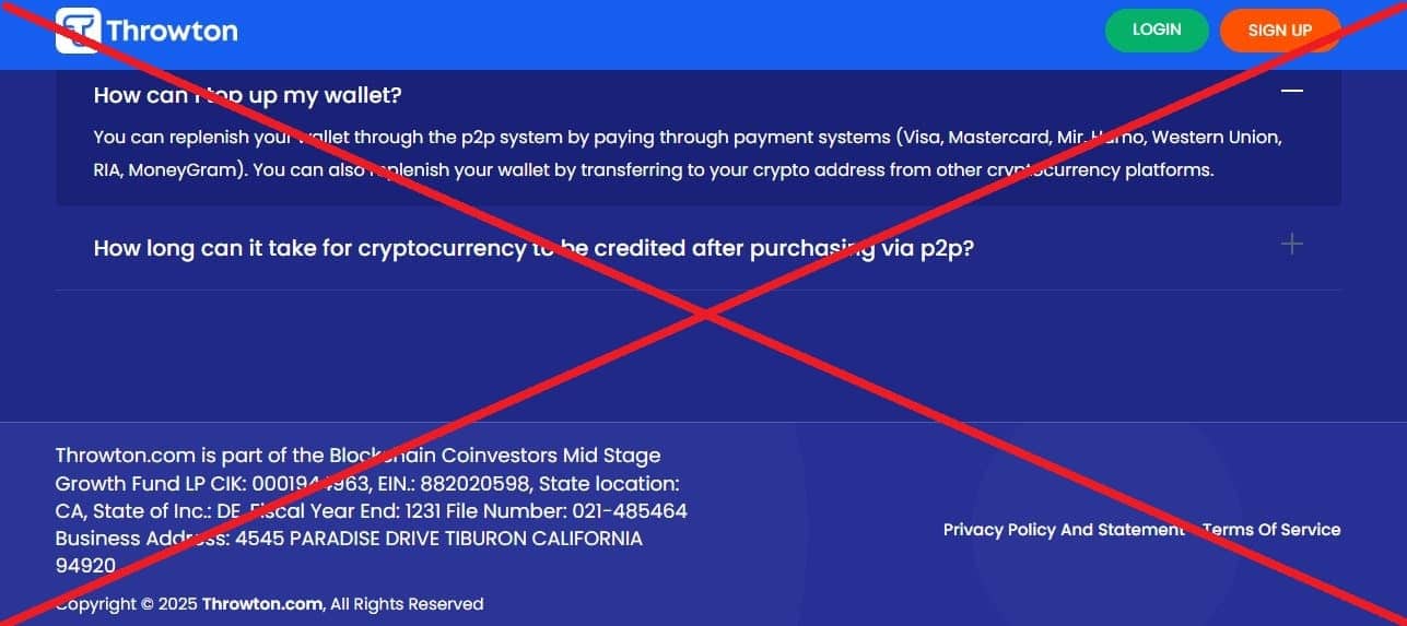 Throwton.com отзывы