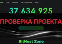 BitNest me отзывы — скам или честные инвестиции? Обзор