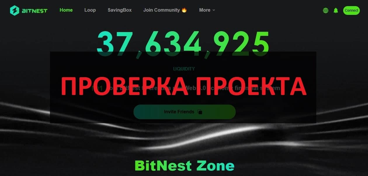 BitNest me отзывы - скам или честные инвестиции