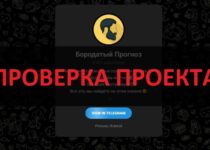 Тг Бородатый Прогноз отзывы — честный обзор, можно верить?