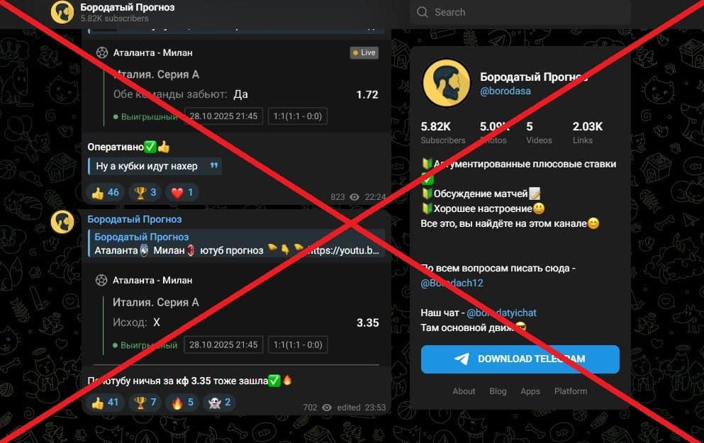 Бородатый Прогноз обман