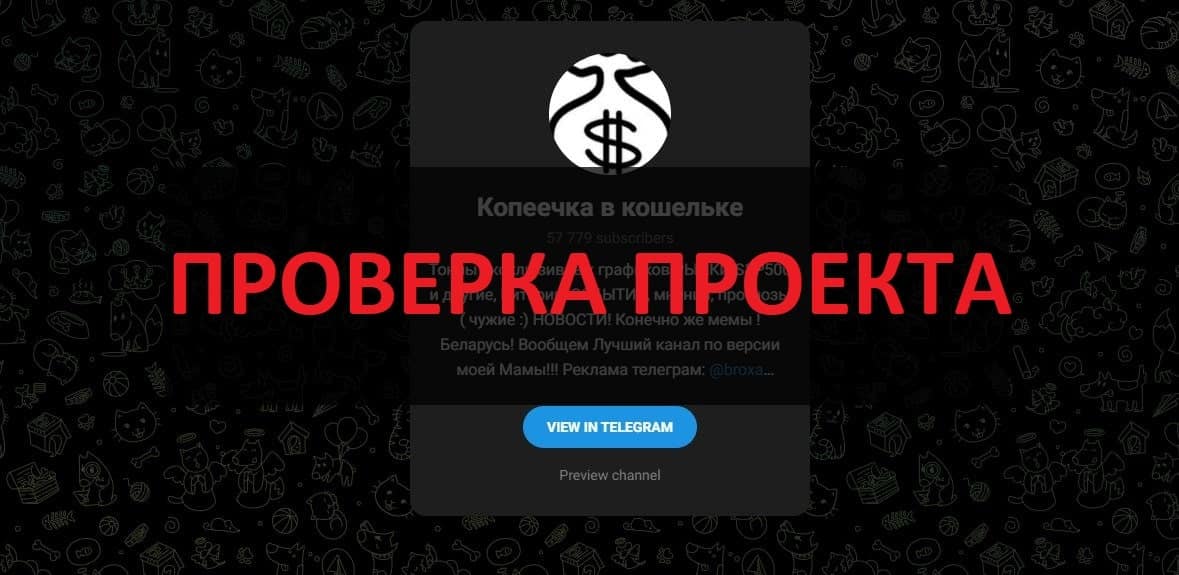 Копеечка в кошельке