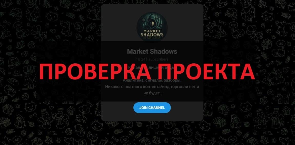 Market Shadows