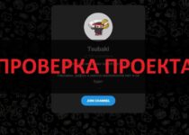 Отзывы про телеграмм канал Tsubaki — развод или нет?