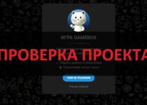 GAMEBOX от Maneki Neko — что за игра, реальные отзывы