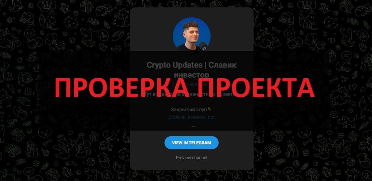 Crypto Updates | Славик инвестор