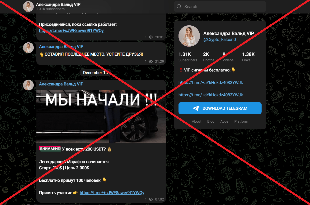 Александра Вальд VIP обман