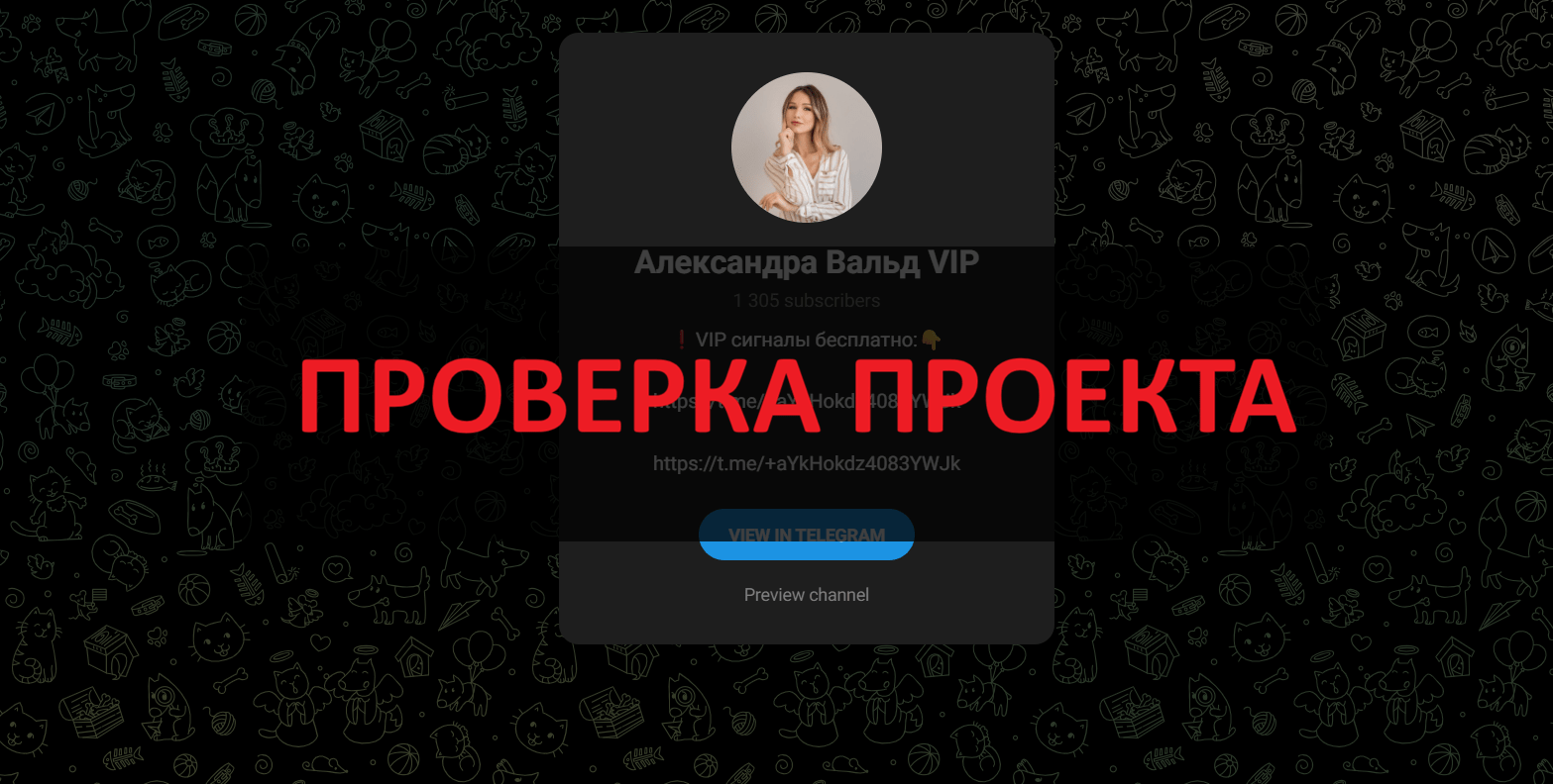 Александра Вальд VIP - отзывы об инвестициях в телеграмм
